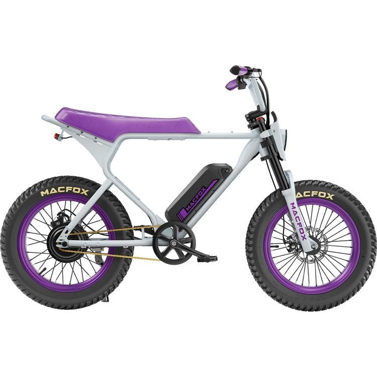 Macfox X1S x Bs.zay 750W Peak Fat-Tire Electric Bike