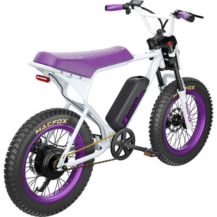 Macfox X1S x Bs.zay 750W Peak Fat-Tire Electric Bike