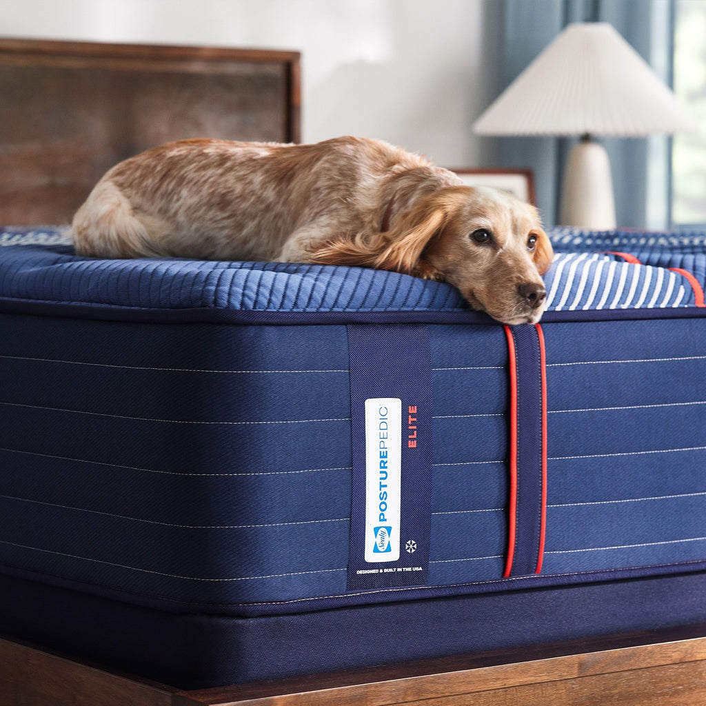Sealy Posturepedic Elite Spring Albany II 14" Firm Tight Top Mattress
