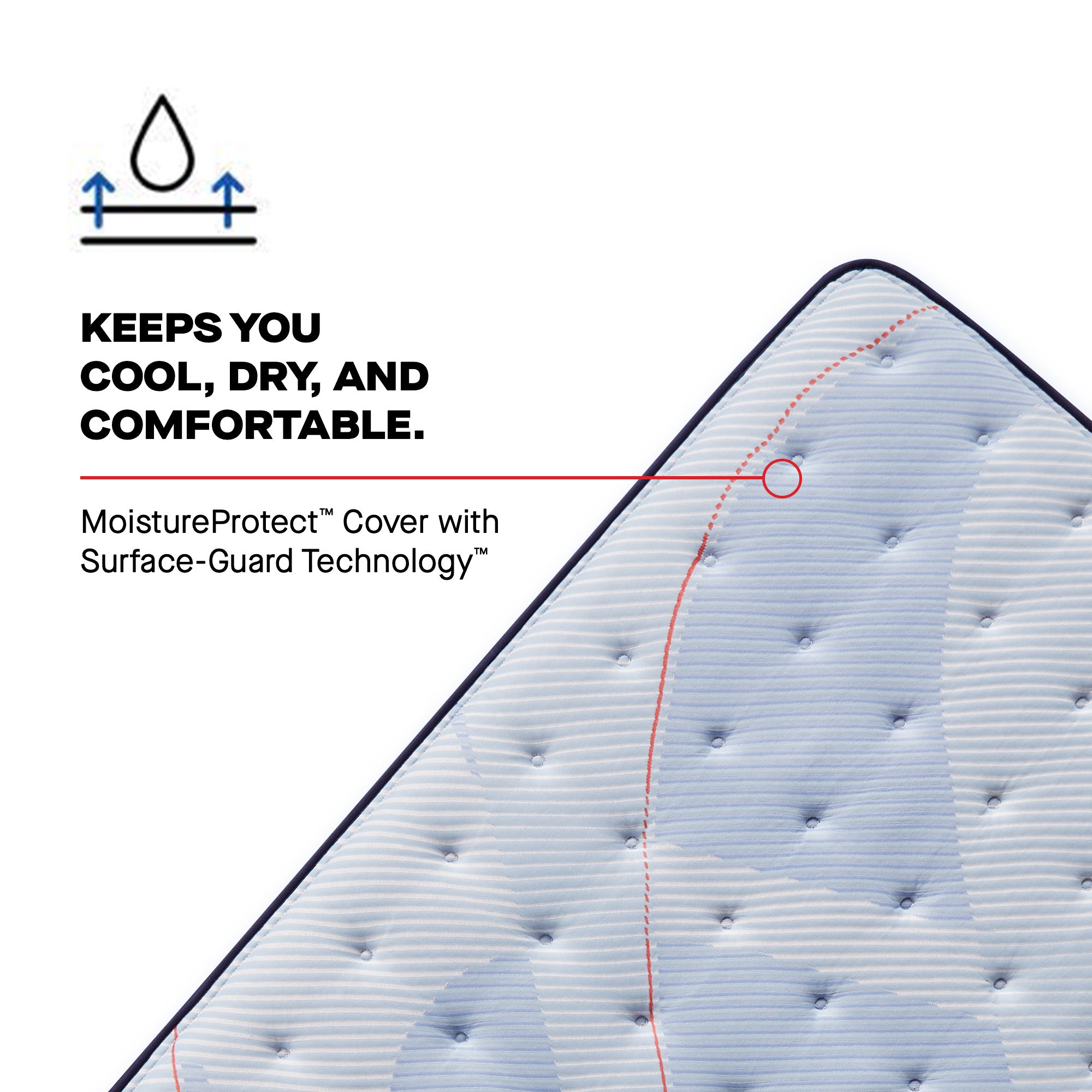 Sealy Posturepedic Plus Spring Paterson II 15" Firm Euro Pillowtop Mattress
